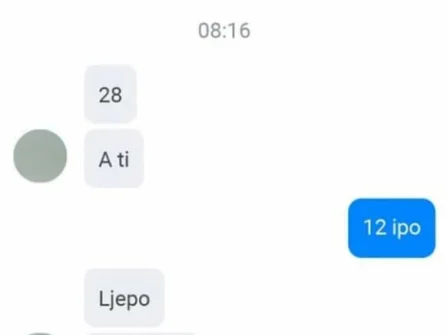 Opis slike