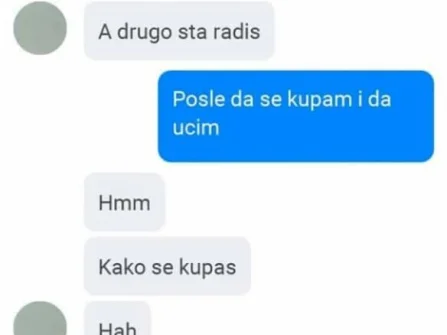 Opis slike