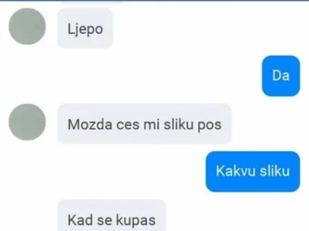 Opis slike
