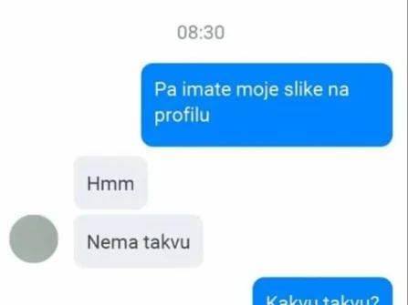 Opis slike