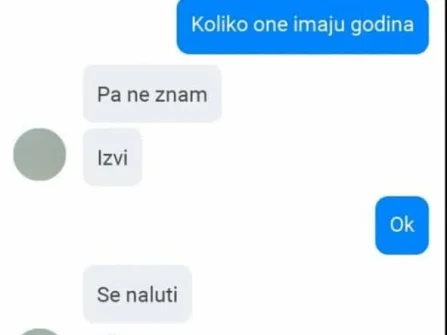 Opis slike