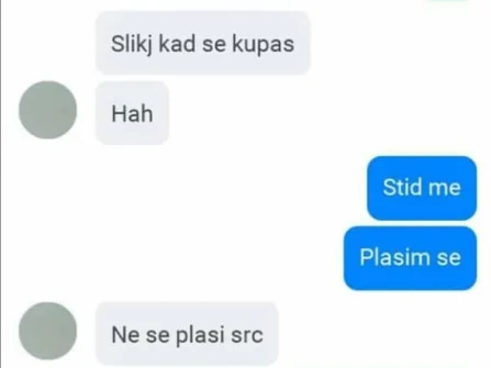 Opis slike