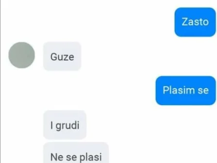 Opis slike