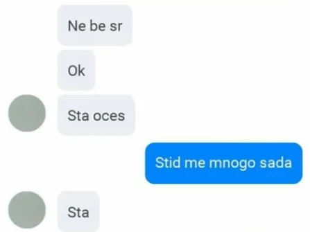 Opis slike