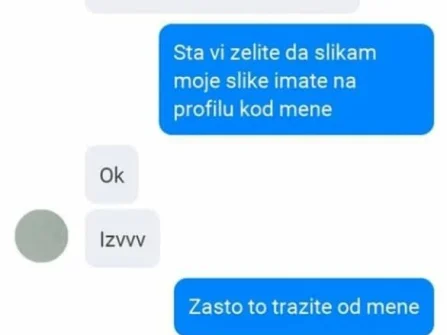 Opis slike