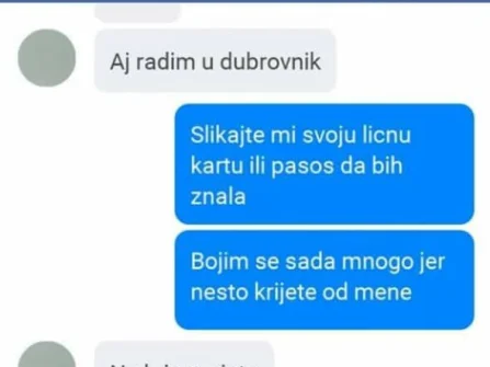 Opis slike