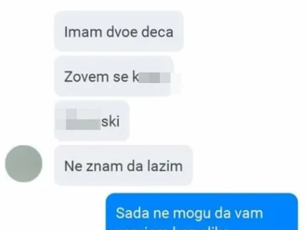 Opis slike
