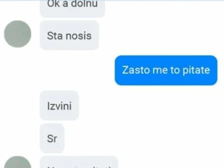 Opis slike