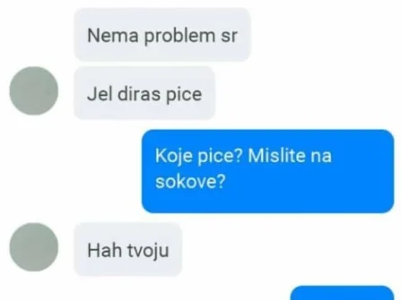 Opis slike