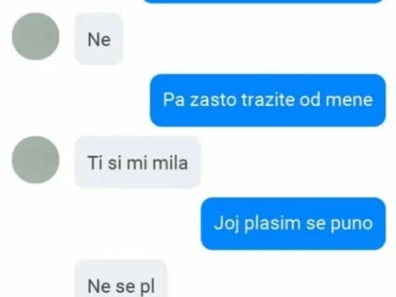 Opis slike