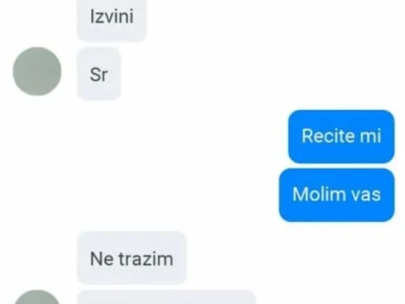 Opis slike