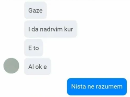 Opis slike