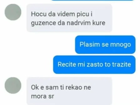Opis slike