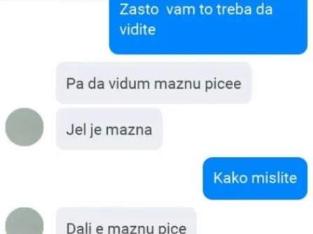 Opis slike