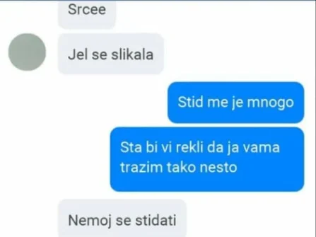 Opis slike