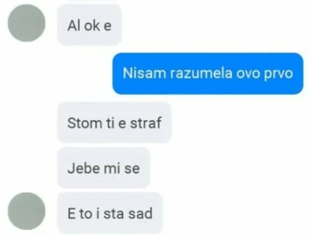 Opis slike