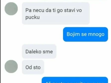 Opis slike