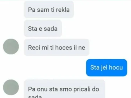 Opis slike
