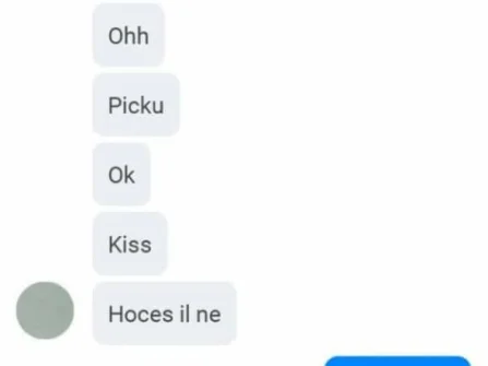 Opis slike
