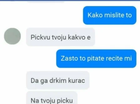 Opis slike