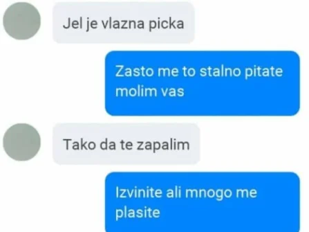 Opis slike