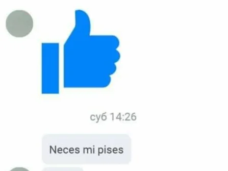 Opis slike