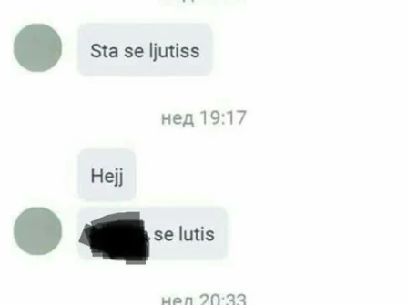 Opis slike