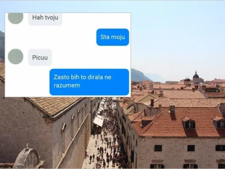 Opis slike
