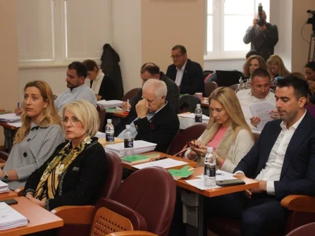 Opis slike