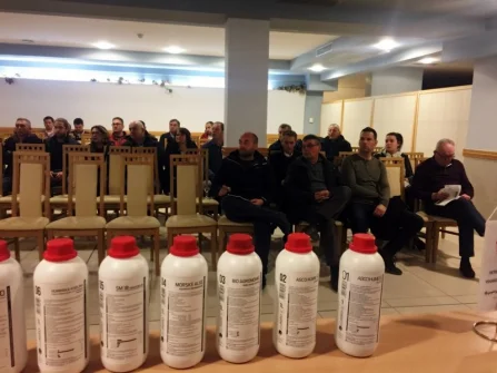 Opis slike