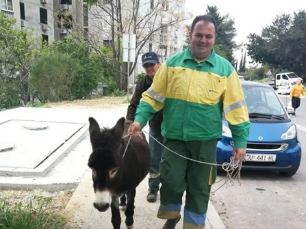 Opis slike