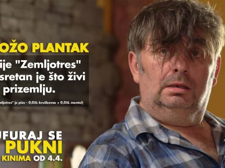 Opis slike