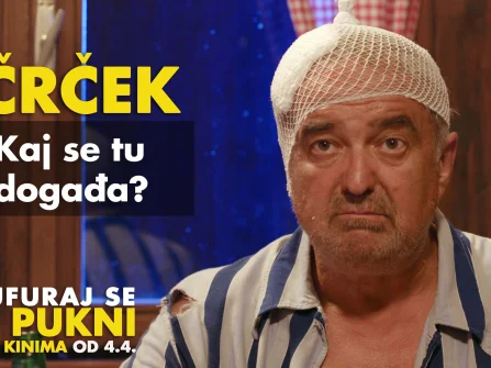 Opis slike