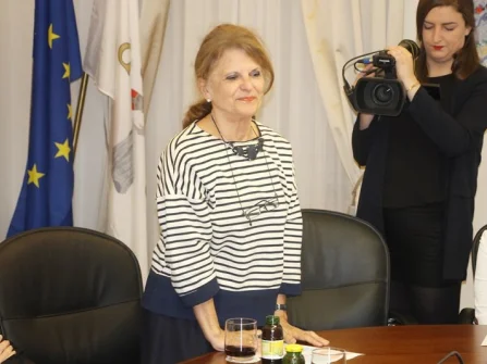 Opis slike