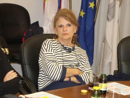 Opis slike