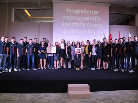 Opis slike