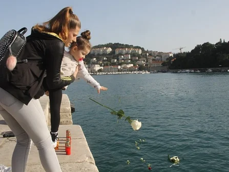 Opis slike