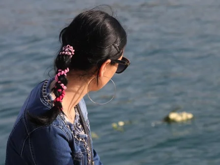 Opis slike