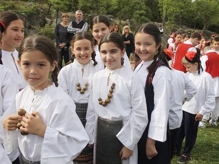 Opis slike