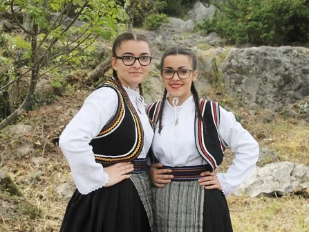 Opis slike
