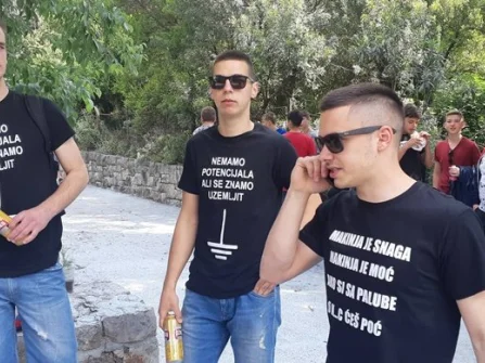 Opis slike