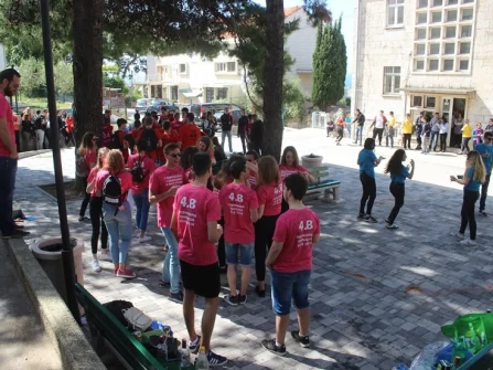 Opis slike