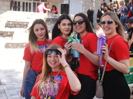 Opis slike