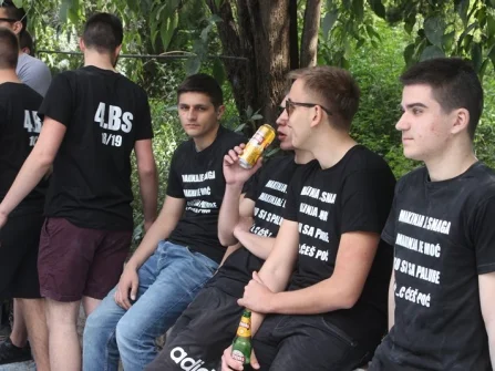 Opis slike