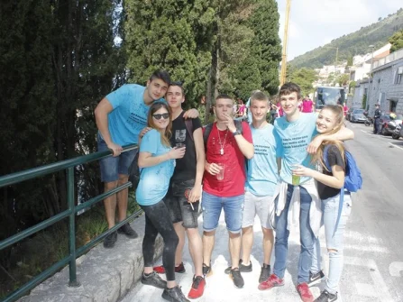 Opis slike