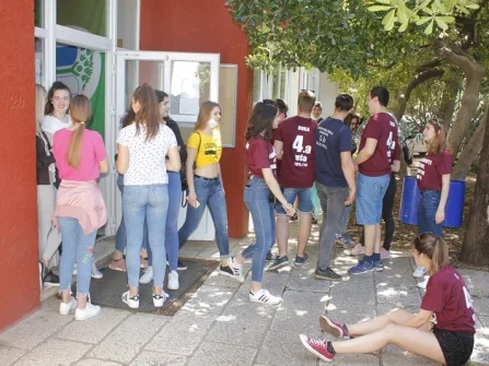 Opis slike