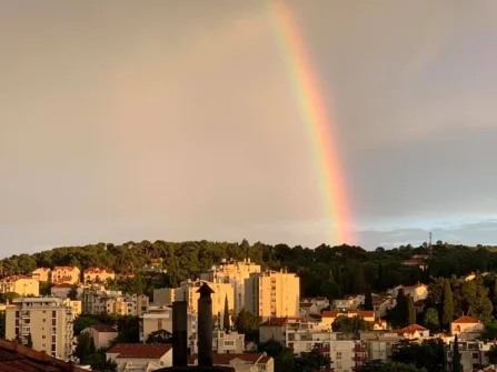 Opis slike