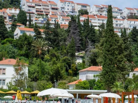 Opis slike