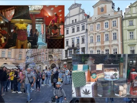 Opis slike