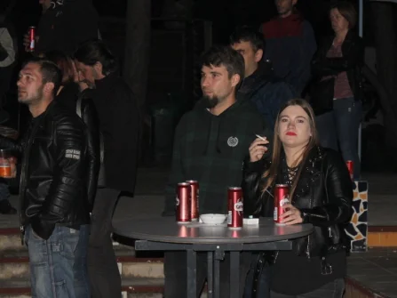 Opis slike